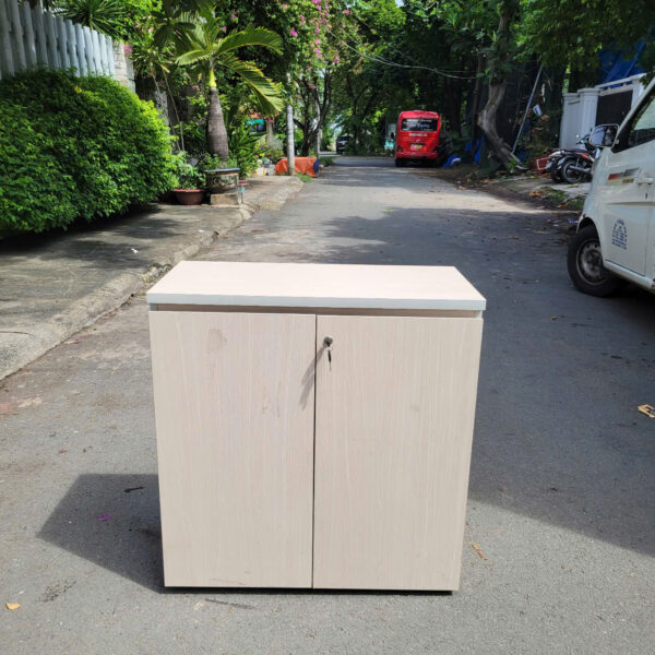 Tủ hồ sơ 2 cánh thấp 80x1m2 giá rẻ
